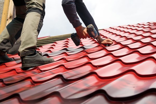 Roofer working on roof structure of building on construction site,Roofer using air or pneumatic nail gun and installing Metal Sheet on top new roof.
